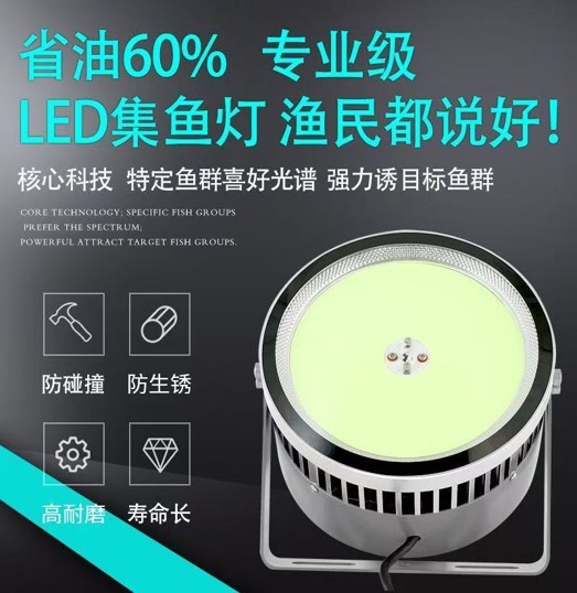 汕尾集鱼灯